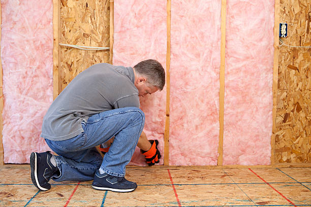 Best Residential Insulation in Mallory, WV